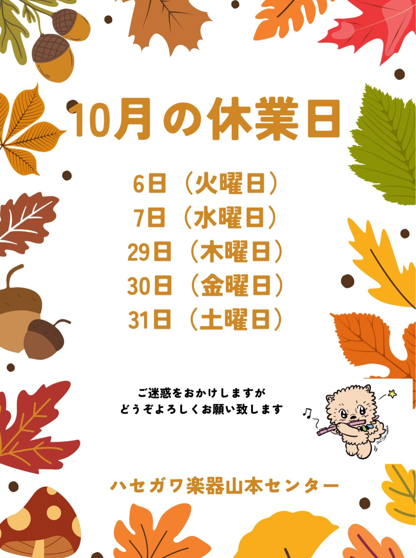 こんばんは‼️